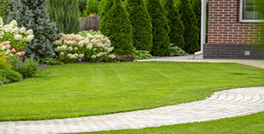 Lawn Mowing Morecambe